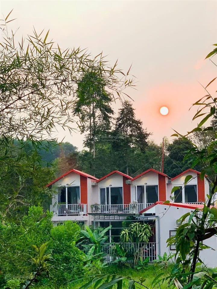 Bán căn nhà kinh doanh homestay phường thủy xuân, huế 418m2 giá 5,5 tỷ