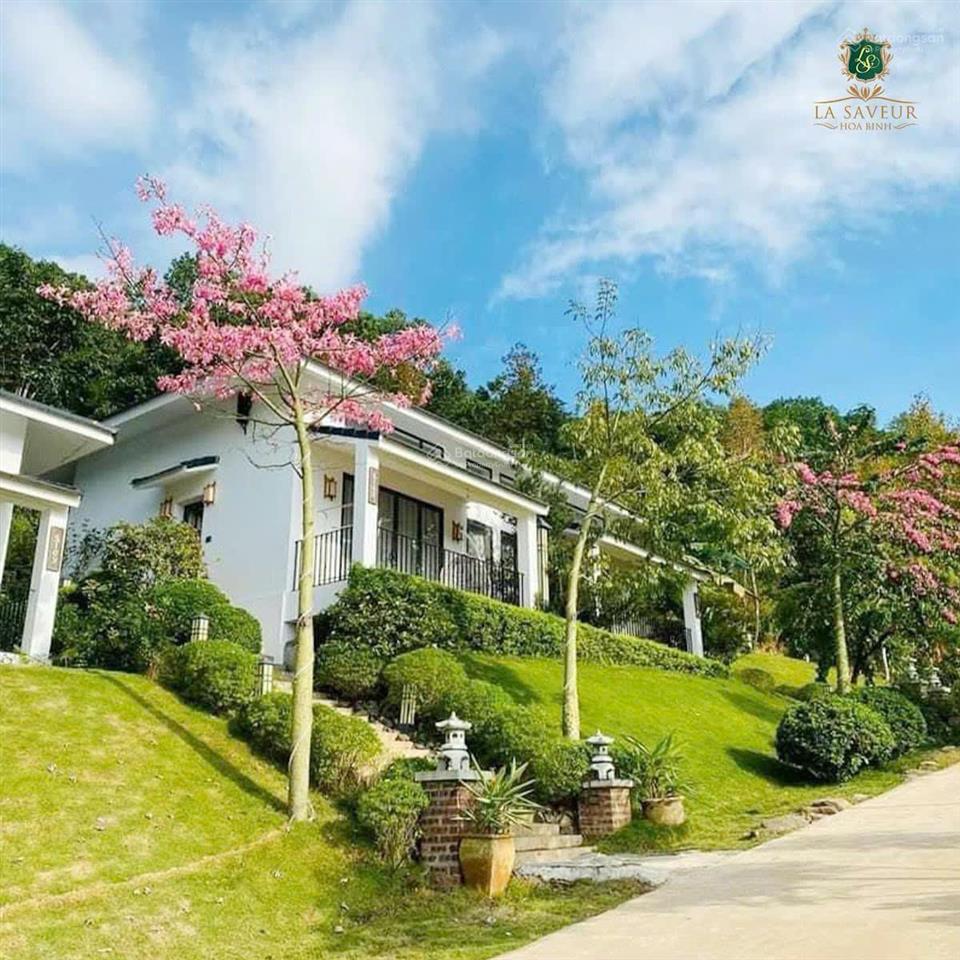 Bán nhanh 01 căn hiếm có full nội thất, có thể ở và cho thuê được ngay. dt=465m2 giá cực rẻ 9,x tỷ