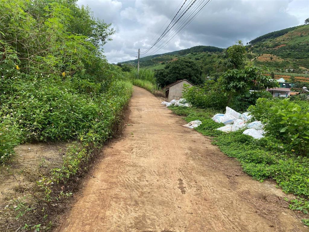 Chính chủ cần bán đất thị trấn nam ban huyện lâm hà, lâm đồng