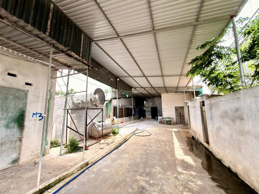 Trang trại chăn nuôi 8.000m2 đã được cấp phép với nhà ở + 3 dãy chuồng trại  phường tân an