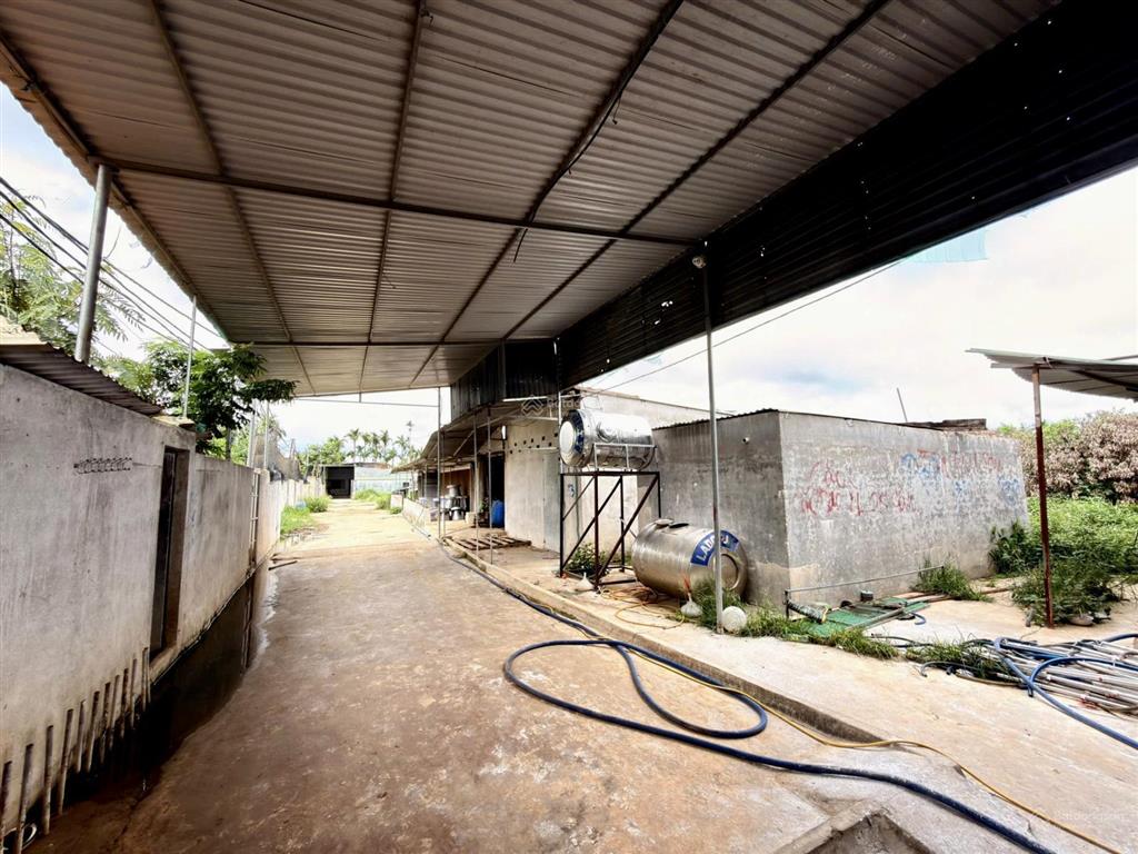 Trang trại chăn nuôi 8.000m2 đã được cấp phép với nhà ở + 3 dãy chuồng trại  phường tân an