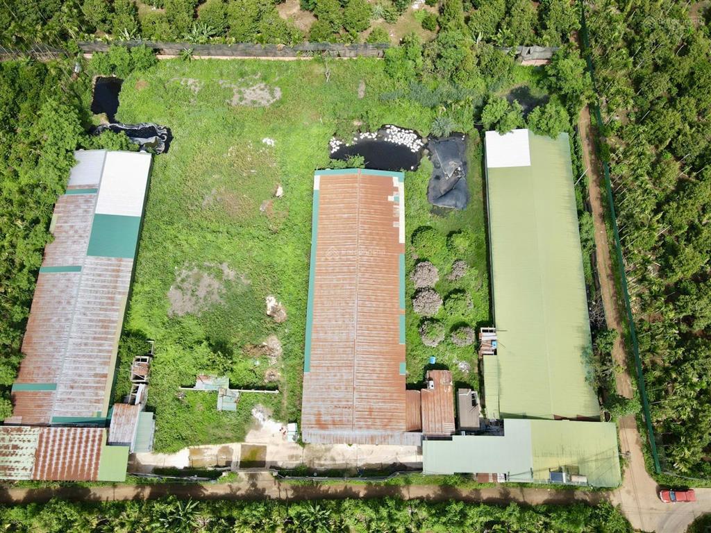 Trang trại chăn nuôi 8.000m2 đã được cấp phép với nhà ở + 3 dãy chuồng trại  phường tân an
