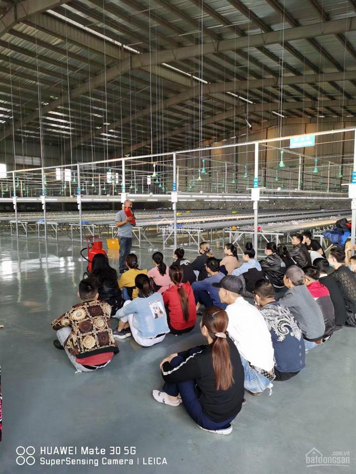 Cho thuê xưởng 1000m2 và 3.000m2 mới dựng, nền bóng, trạm công suất lớn