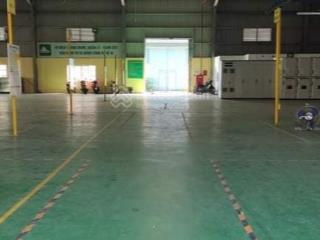 Kho xưởng dưới đình vũ 2500m2, pccc tự động, làm được fdi, khuôn viên rộng 3ha