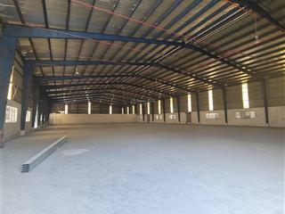 Cho thuê kho xưởng mới với diện tích 2000m2 có thể linh hoạt diện tích thuê, pccc tự động