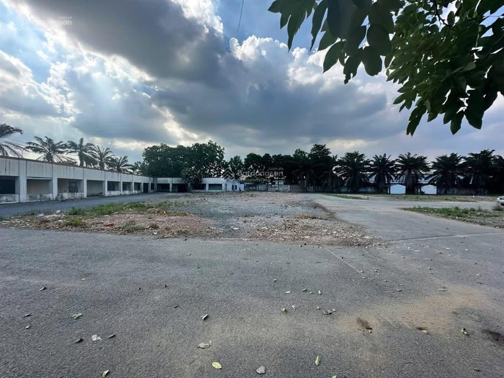 Cho thuê 3000 m2 đất trống sẵn nền chủ dựng xưởng, kho đều được hoặc tập kết hàng hoá