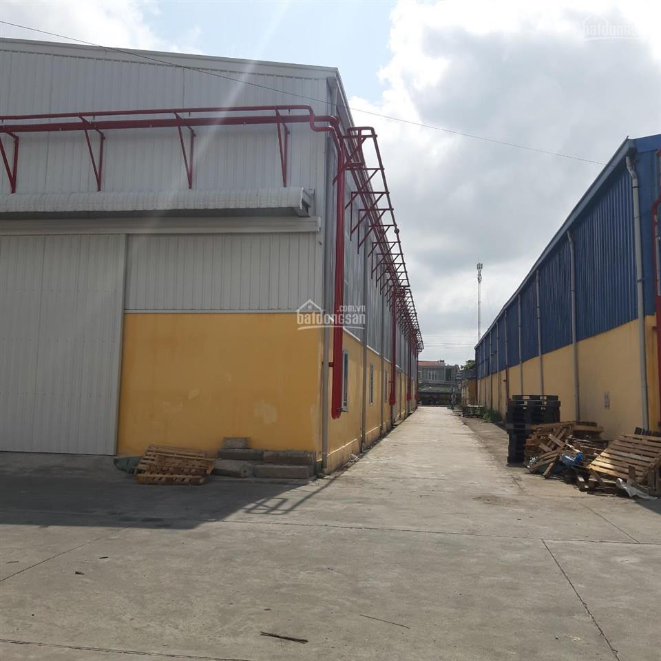 Cho thuê kho nhà xưởng dt 1000m2 bên dương kinh, pccc tự động tiêu chuẩn, làm được fdi