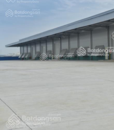Cho thuê bãi 5.000m² gần đường 10, phường an dương, hải phòng