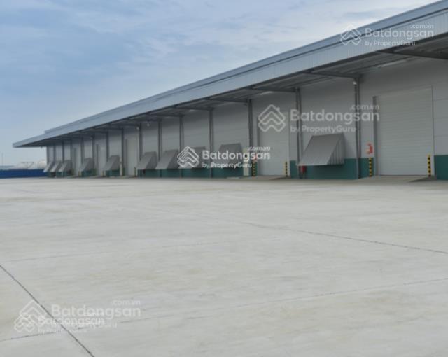 Cho thuê bãi 5.000m² gần đường 10, phường an dương, hải phòng