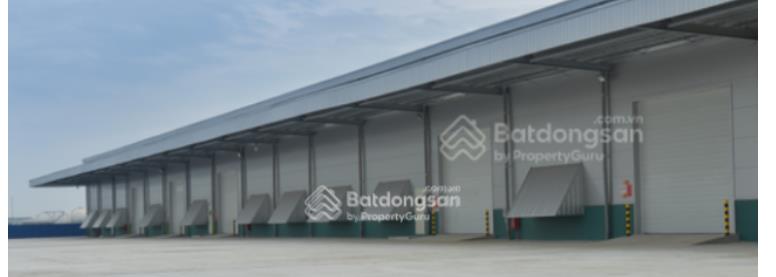 Cho thuê bãi 5.000m² gần đường 10, phường an dương, hải phòng