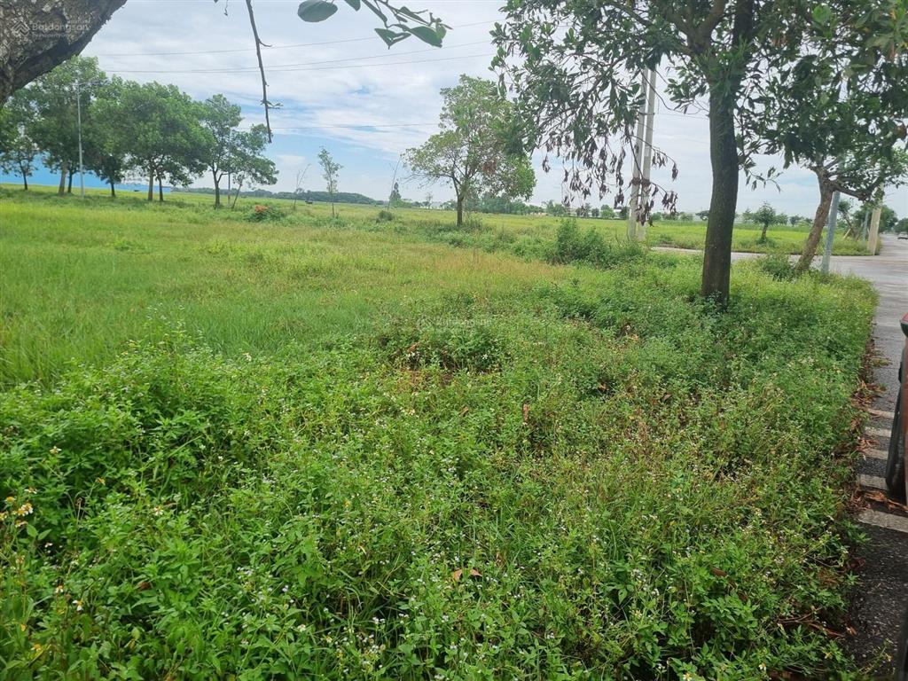 Cần bán gấp 52000m2 đất, nhà xưởng ccn tỉnh ninh bình