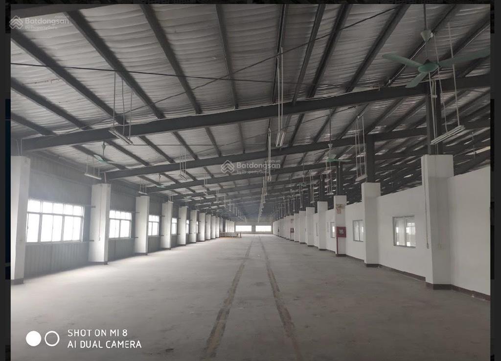 Cho thuê xưởng độc lập 10000m2 huyện an lão, pháp lý đầy đủ
