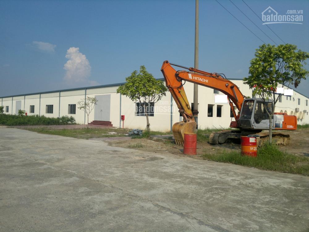 Cần cho thuê xưởng đẹp diện tích đến 10000m2 tại hải phòng