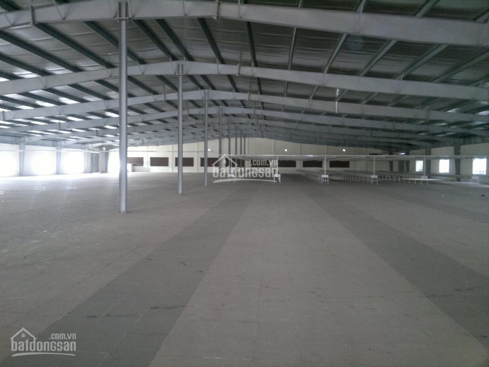Cần cho thuê xưởng đẹp diện tích đến 10000m2 tại hải phòng