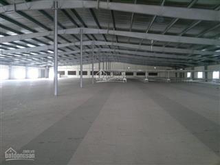 Cần cho thuê xưởng đẹp diện tích đến 10000m2 tại hải phòng