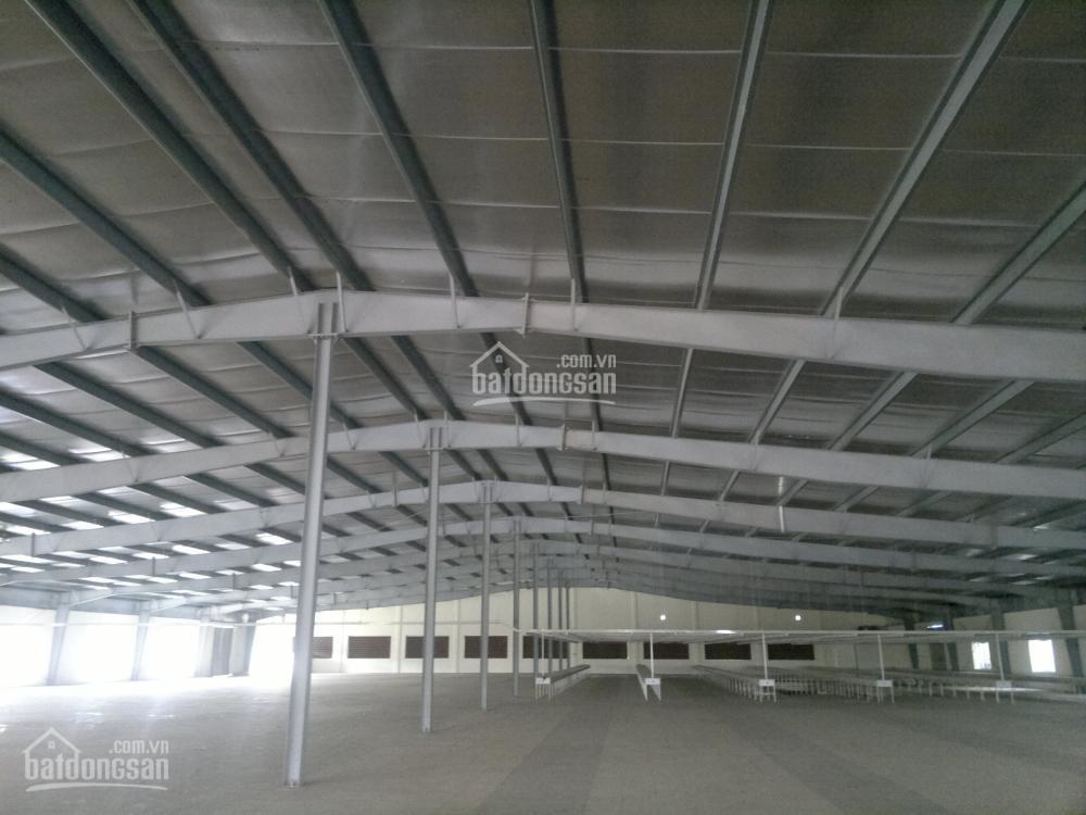Cần cho thuê xưởng đẹp diện tích đến 10000m2 tại hải phòng