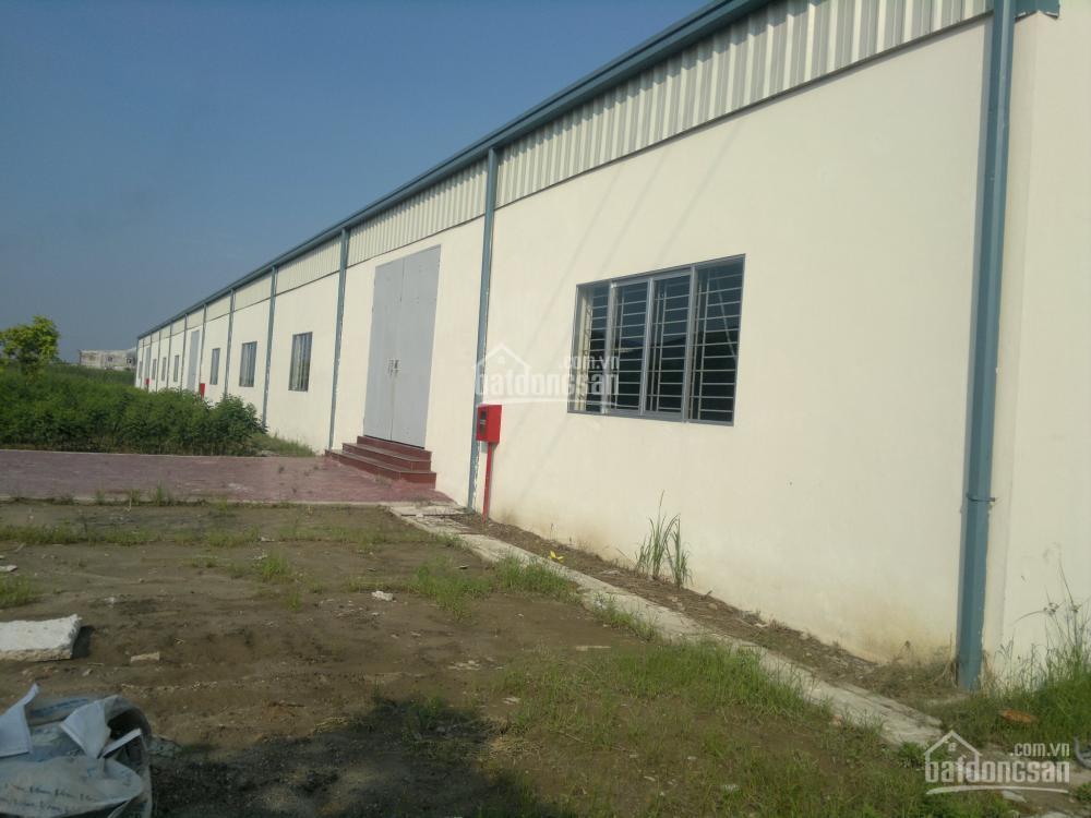 Cần cho thuê xưởng đẹp diện tích đến 10000m2 tại hải phòng