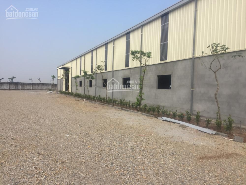 Cho thuê 4000m2 xưởng mới huyện thái thụy, thái bình