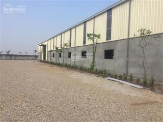 Cho thuê 4000m2 xưởng mới huyện thái thụy, thái bình
