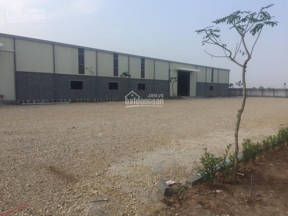 Cho thuê 4000m2 xưởng mới huyện thái thụy, thái bình