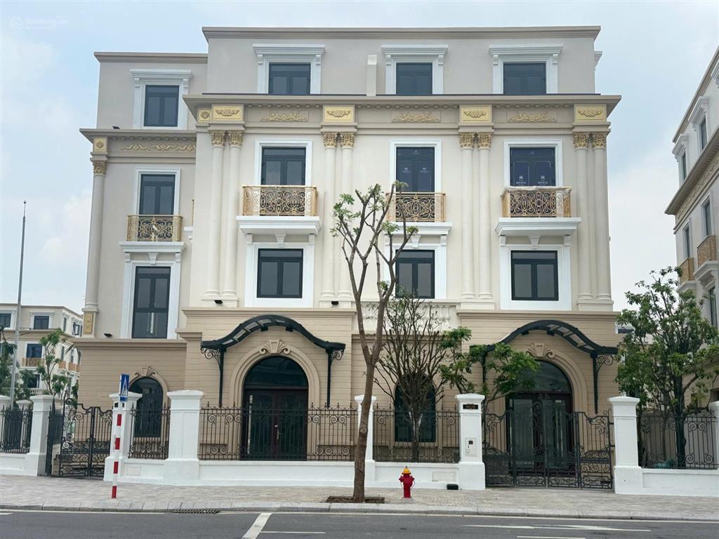 Biệt thự song lập hoàng gia 2 view trực diện công viên trung tâm