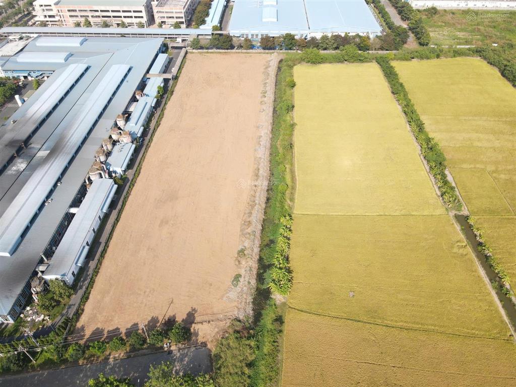 Cần bán 5.000m2 đất trong kcn hòa bình long an giá từ 26