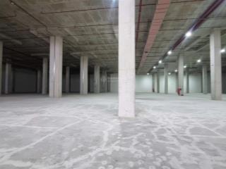 Cho thuê kho kcn thuận đạo, bến lức, long an. kho 4.000m²3.5$/m2 ~ 91ng/m2, pccc tự động, cao 12m