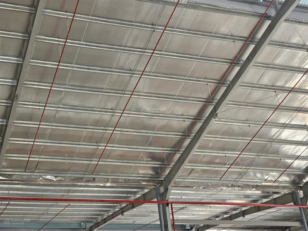 Cho thuê nhà xưởng bến lức, long an tổng khuôn viên 8.000m2 xưởng 5.500m2 pccc tự động 80k/m2