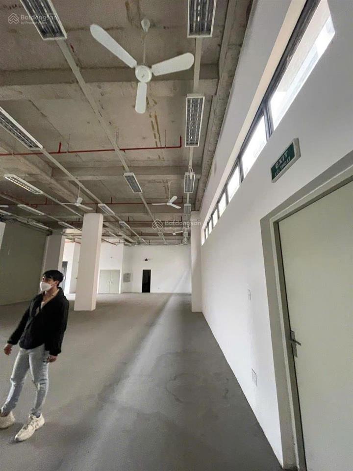 Cho thuê kho xưởng trong kcn phú an thạnh kv 6.000m2, x 4.000m2, pccc tự động, 3.5$/m2 ~ 90ng/m2