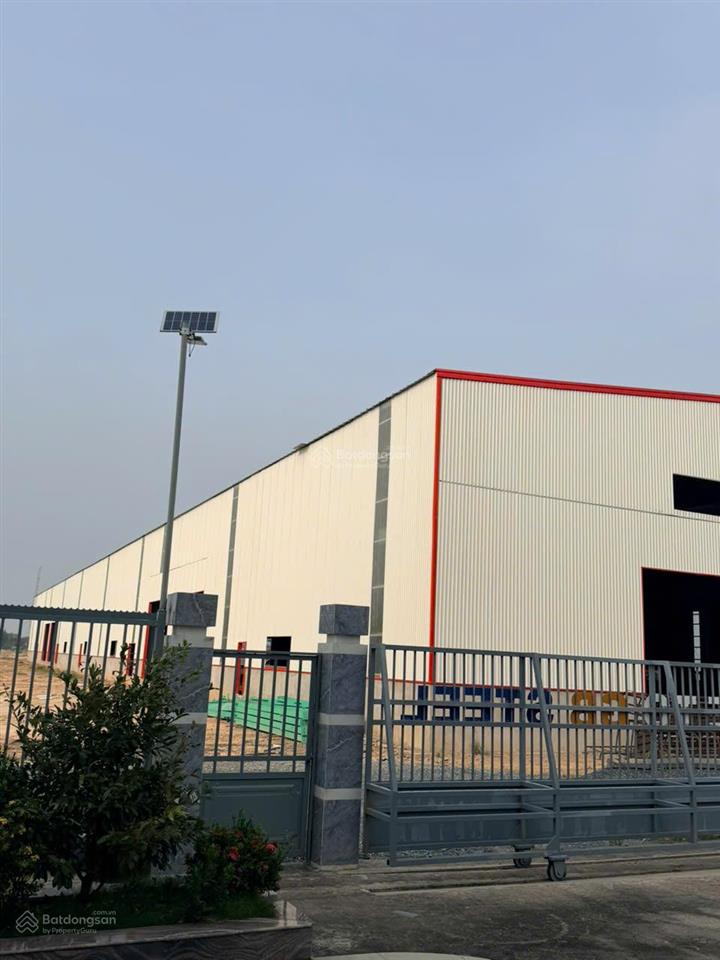 Cho thuê kho xưởng ngoài kcn bến lức kv 15.000m2, nx 10.000m2 đầy đủ pháp lí, chỉ 55k/m2