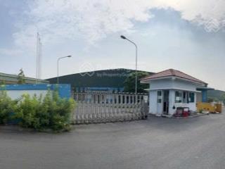 Cho thuê kho xưởng đức hòa long kv 3.100m2, nx 2.000m2, pccc tự động, bình điện lớn, chỉ 150tr/ thg