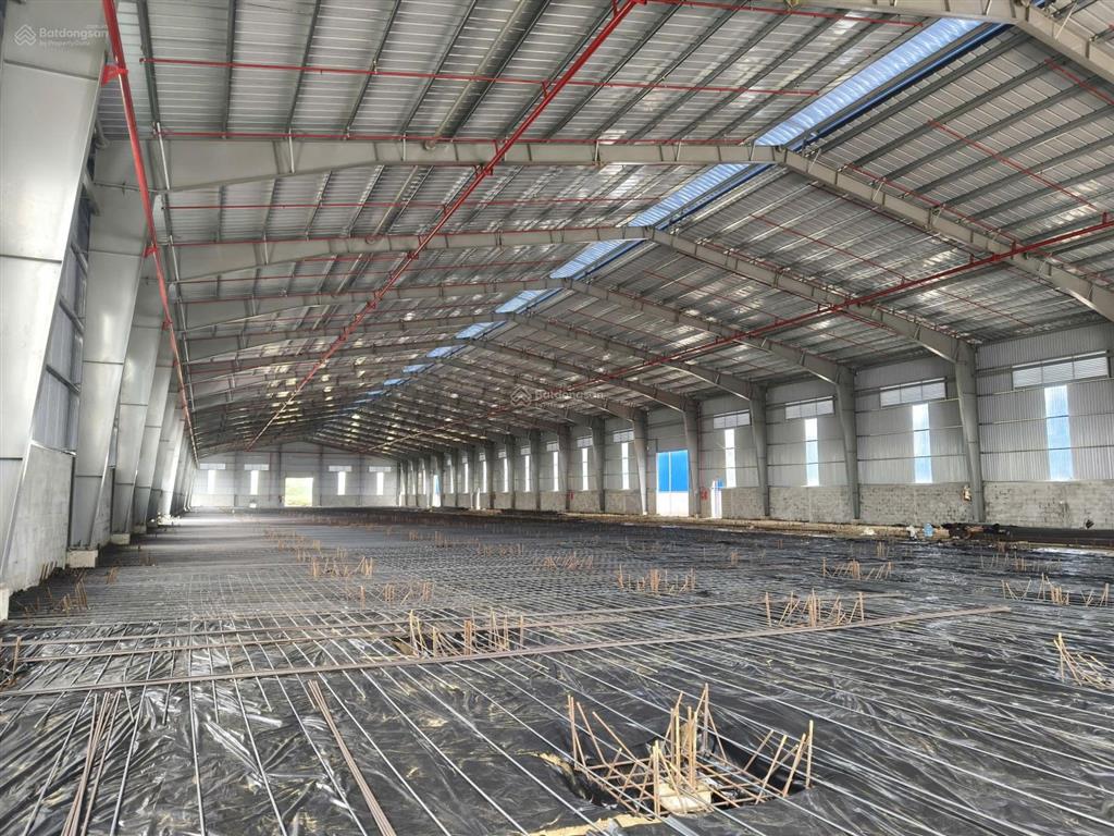 Cho thuê kho quốc lộ 50 cần giuộc kv 20.000m2 nx 5.000m² pccc tự động 70k/m²/th