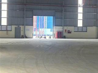 Cho thuê xưởng 12.000m² mặt tiền cụm công nghiệp hải sơn đức hòa đông 1.500kva, pccc tự động