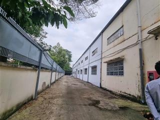 Cho thuê kho xưởng 4.200m2 mỹ yên, bến lức 300 triệu/tháng, pccc và bình điện lớn, cont đi 24g