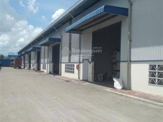Cho thuê kho kv 8.800m2 kho 4.500m2 đường mã lò, bình tân, pccc tự động, kho cao 12m
