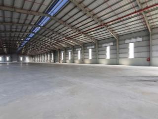 Cho thuê kho kv 19.000m2, kx 5.500m2 quốc lộ 50, cần đước giá từ 70.000đ/m2, pccc tự động