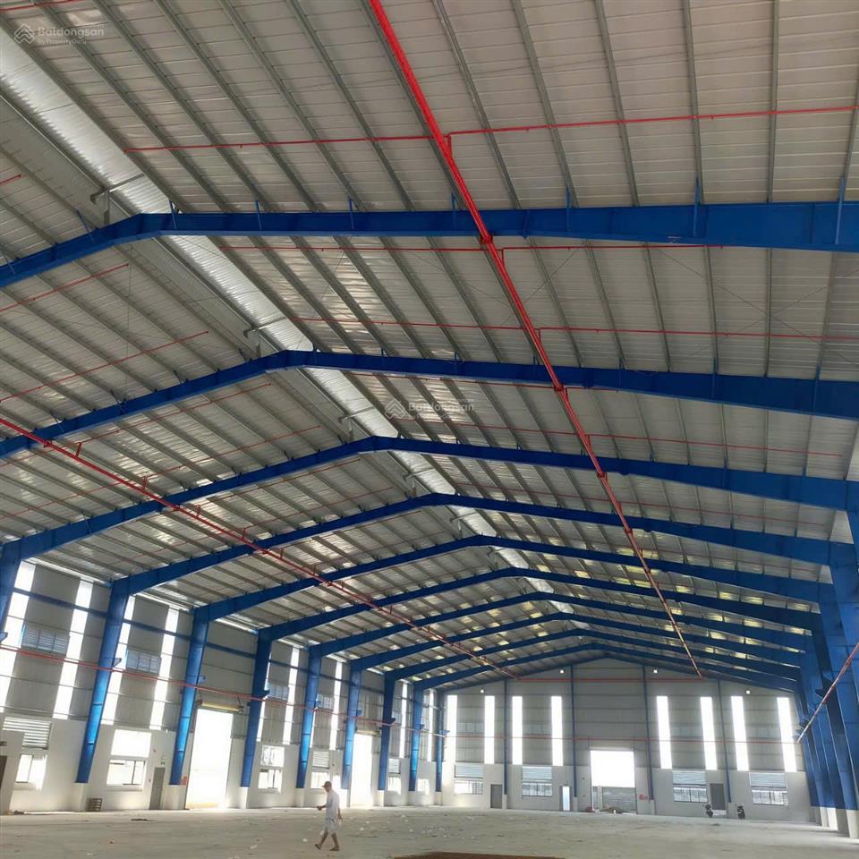 Cho thuê xưởng kv 6.600m2, nx 3.900m2 kcn tân đô, pccc tự động, điện 800kva, chỉ 73.000đ/m2