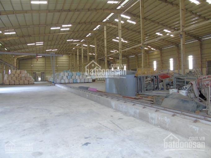 Cho thuê nhà xưởng, 5600 m2 ccn trường xuân, tháp mười, đồng tháp