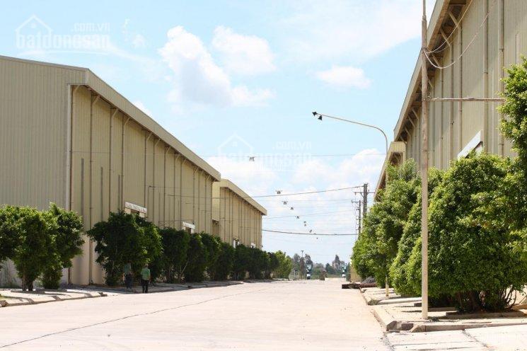 Cho thuê nhà xưởng, 5600 m2 ccn trường xuân, tháp mười, đồng tháp