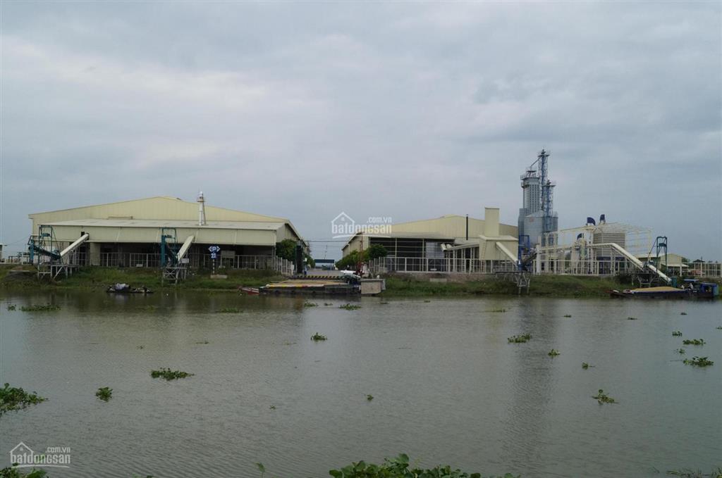 Cho thuê nhà xưởng, 5600 m2 ccn trường xuân, tháp mười, đồng tháp