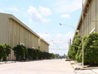 Cho thuê nhà xưởng, 5600 m2 ccn trường xuân, tháp mười, đồng tháp