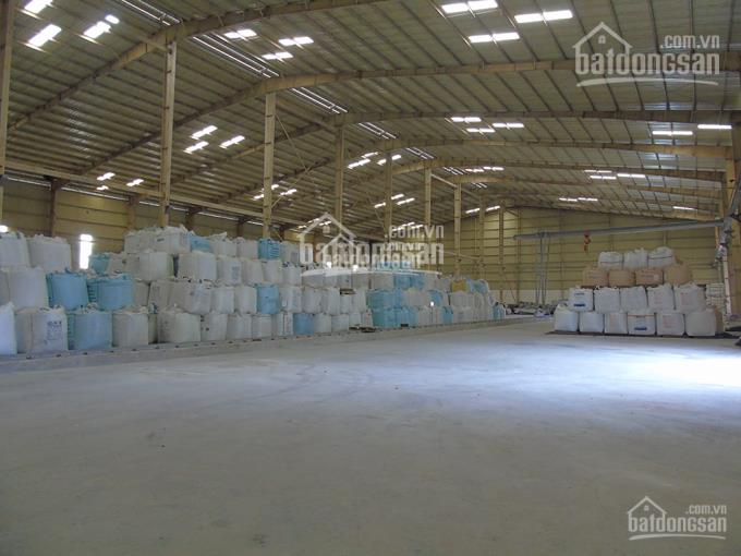 Cho thuê nhà xưởng, 5600 m2 ccn trường xuân, tháp mười, đồng tháp