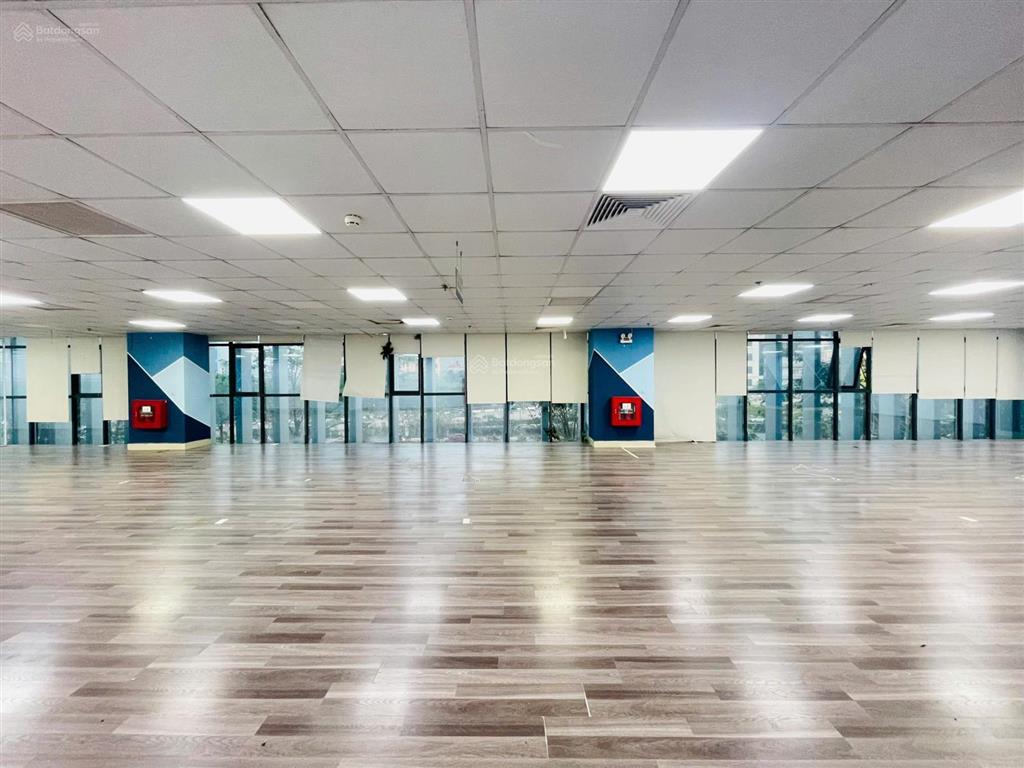 Cho thuê văn phòng  phố hoàng quốc việt  400m2/ sàn  đường oto  hầm rộng rãi  12 $/ m2
