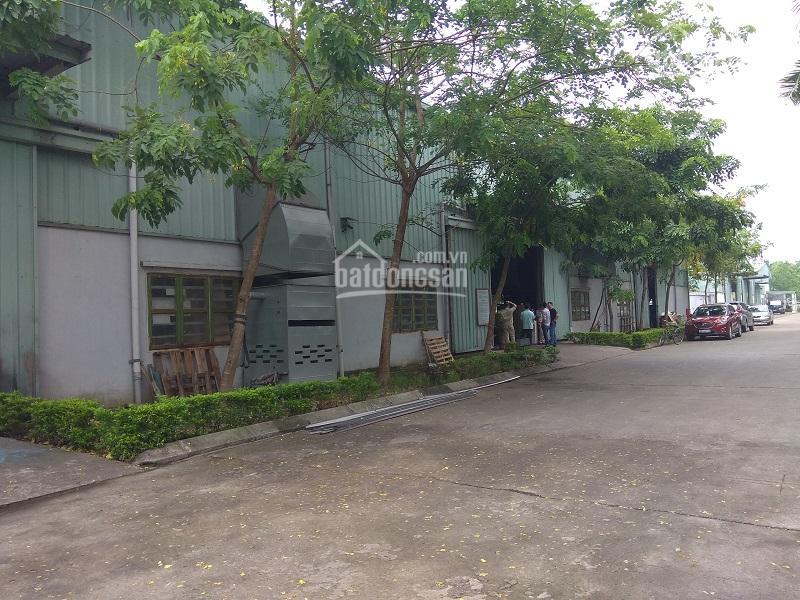 Cho thuê kho xưởng như quỳnh (quốc lộ 5)  văn lâm  hưng yên, cty bình an 12.000m có thể chia