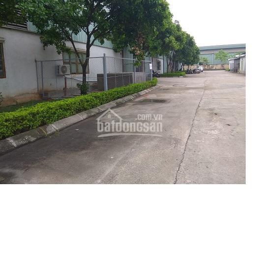 Cho thuê kho xưởng như quỳnh (quốc lộ 5)  văn lâm  hưng yên, cty bình an 12.000m có thể chia