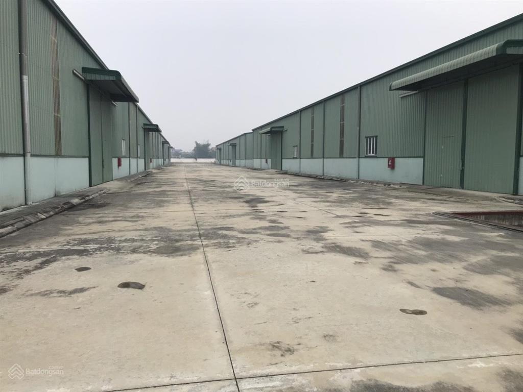 Cty dcn vn cho thuê kho xưởng lô 2bcn tân dĩnh lạng giang, bắc giang dt 12.000m2 có thể chia 1000m2