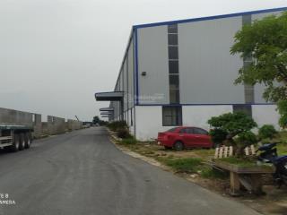 Cty dcn cho thuê kho xưởng lô 3b kcn ninh hiệp, gia lâm, hà nội, dt 4200m2 chia nhỏ được 800m2