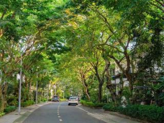 Bán chính chủ biệt thự spring valley ecopark 263m2, hướng mát, giáp sông, giá thỏa thuận hợp lý
