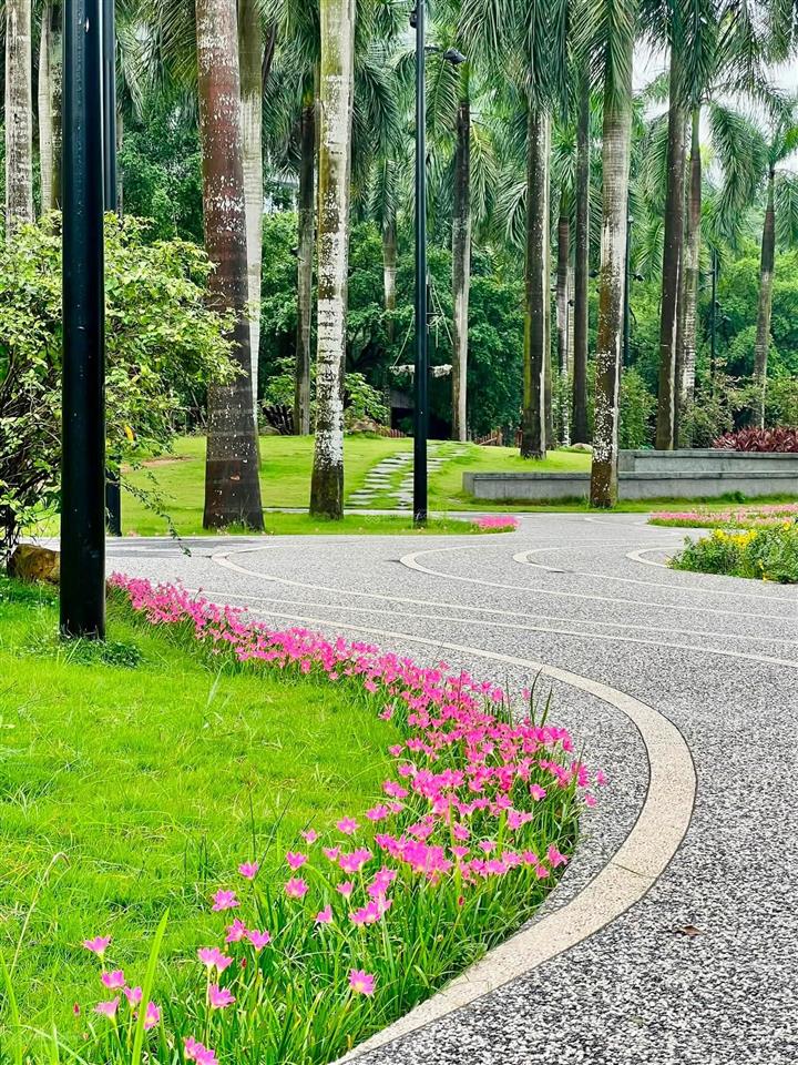 Chính chủ cần nhượng lại penthouse rừng cọ ecopark, 0966 613 ***