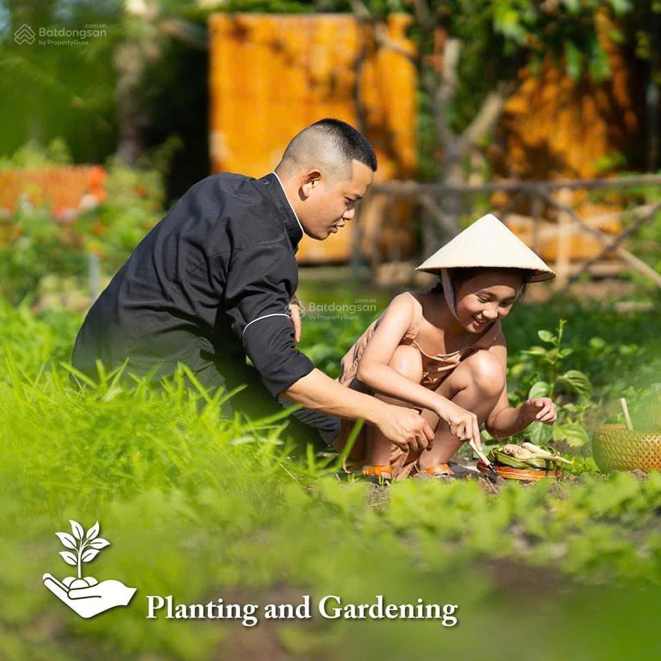 Bán biệt thự mặt tiền biển 4pn melia hồ tràm, căn góc rộng rãi.  0938 917 ***